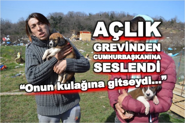 grev, açlık grevi, hayvanseverler, bartın, boğaz, çöplük, köpek, sevim arkan, ayşe köse, uğurcan saban,