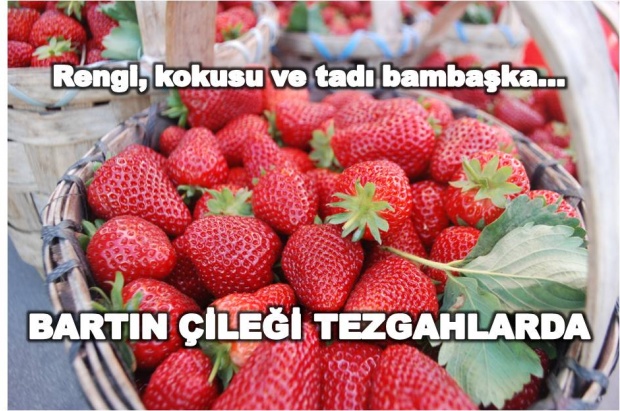 bartın çileği, bartın çilek, çilek tezgahlarda