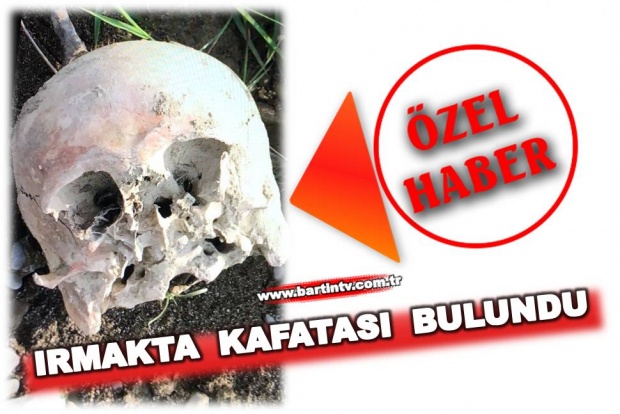 bartın, bartında insan kafatası, kafatası bulundu, ırmakta kafatası, btv özel haber, bartın tv özel haber
