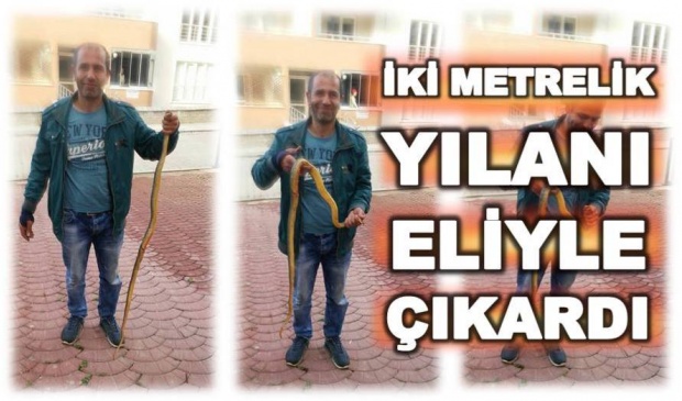 yılan, bartın, otomobilde yılan, yasin çetinkaya, itfaiyeci