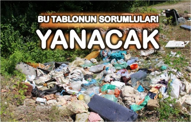 bartın, çevre kirliliği, ali özcan, çevre şehirclilik, kumluca, ismail can, berker dongul, moloz, çöp, atık, ceza