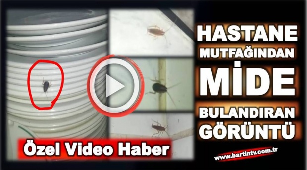 bartın, hastane, böcek, mutfak