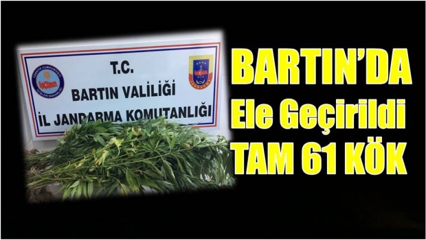 bartın, jandarma, il jandarma komutanlığı, operasyon, kenevir, saraylı, gürgenpınarı, kenevir