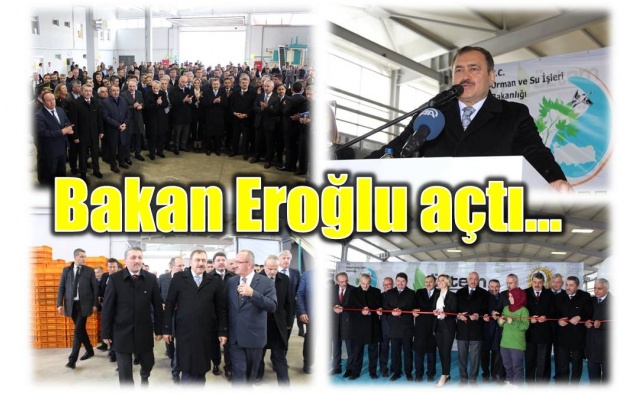 öztem, defne, fabrika, bartın, veysel eroğlu, bakan, açılış