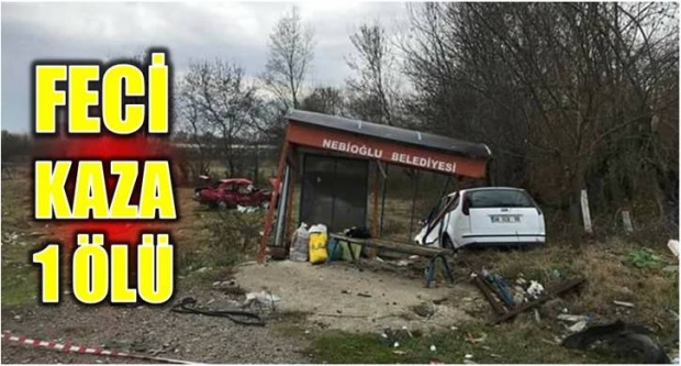 kaza, uluköy muhtarı, hayati er, yunis demir, nebioğlu