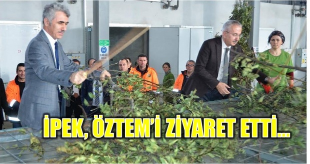 öztem, defne, fabrika, bartın