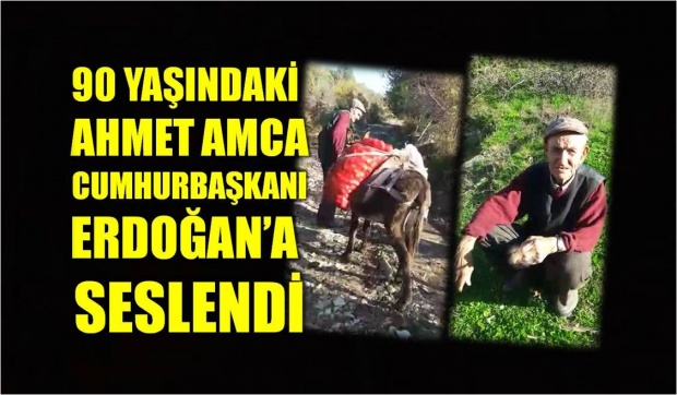 kurucaşile, yol, meydan köyü, çambu köyü, cumhurbaşkanı erdoğan, yol isteği