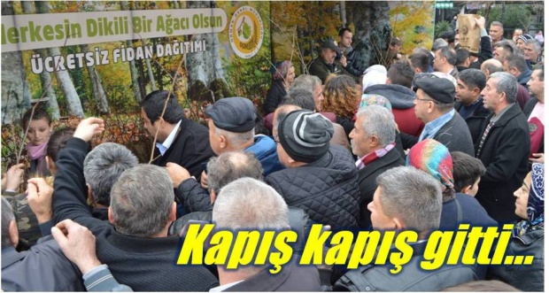 bartın, fidan dağıtım, orman işletme, selehattin yanık, fidan, bartın fidan