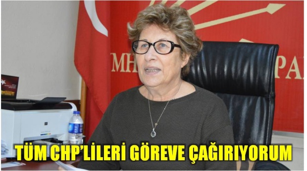 ilknur erkan, chp, bartın, il başkanı, chp bartın