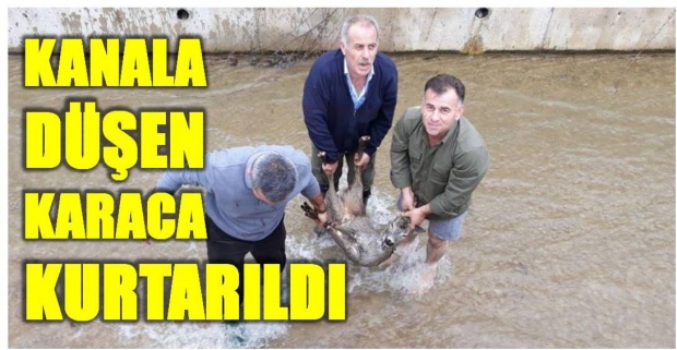 karaca, bartın, su kanalı, gökçekıran, bartın tv, bartın haber, haber bartın