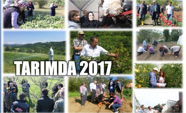 tarım, 2017, destekleme, bartın tarım, tarım bartın, bartın tv, bartın haberleri, tarım haberleri