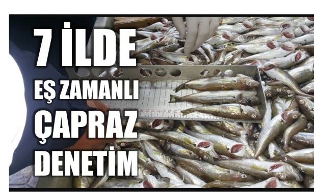 su, su ürünleri, denetim, bartın, balık, balık hali, depo, bartın haberleri, denetim haberleri