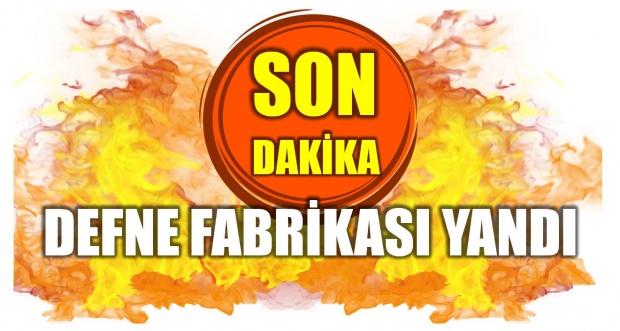 defne, defne fabrikası, bartın, 