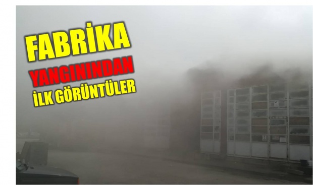 defne, defne fabrikası, bartın, yangın, yangın bartın, bartın tv, bartın haberleri, haber bartın