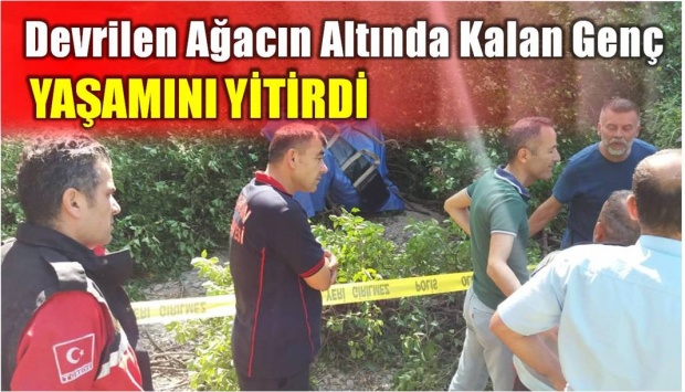 çağlayan, kaza, ağaç, motor, mobilet, ağaç devrildi, çağlayanda ölüm, genç ölüm