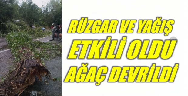kozcağız, bartın, bartın tv, bartın haber, rüzgar, fırtına, yağmur, yağış, meteoroloji, yol