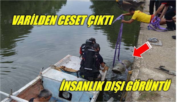 ceset, ırmak, bartın ırmağı, bartın, haber, bartın tv