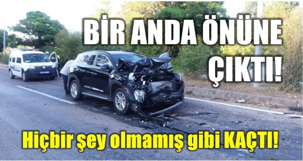 kaza, bartın, amasra yolu, amasra bartın, bartın haber