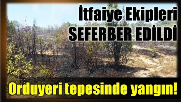 yangın, itfaiye, bartın, bartın yangın, bartın belediyesi, bartın itfaiyesi, bartın haberleri
