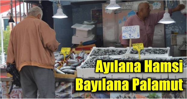 balık, balıkçı, palamut, hamsi, yerli hamsi, bartın