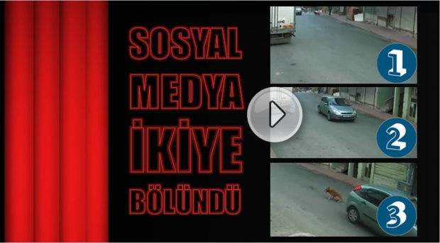 kozcağız, bartın, kozcağız haber