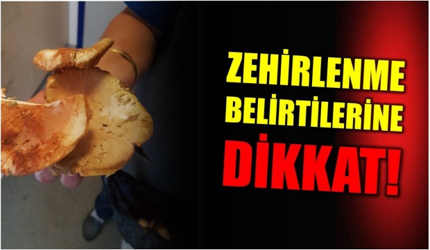 mantar, zehirlenme, zehirlenme belirtisi, mantar zehirlenmesi, zehirlenme belirtileri