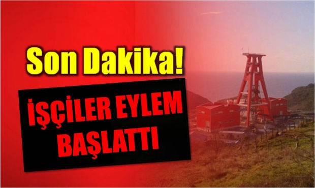 hema, denfa, madenci, eylem, kule, bartın, amasra, kule eylemi