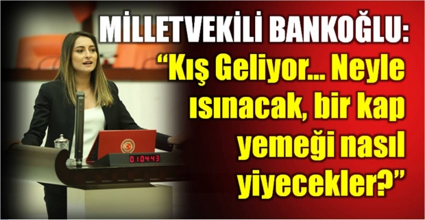 aysu bankoğlu, bankoğlu, chp, hattat, hema, denfa, işçi, eylem, amasra, bartın haber, haber bartın, tv, bartın tv