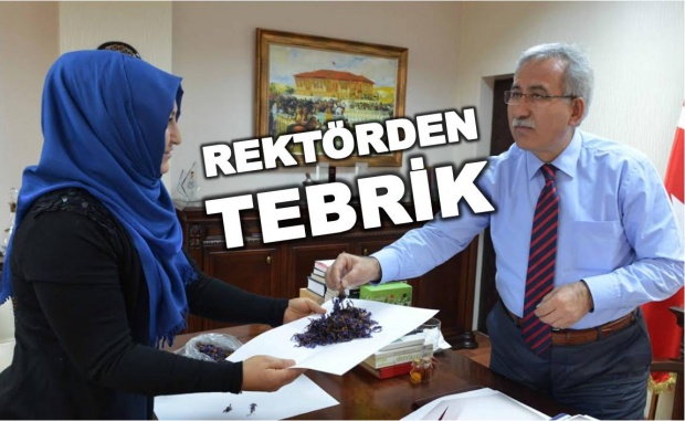 bartın safran üretimi, Pembe Yıldız, Ramazan Kaplan, bartin tv, bartin haber, 