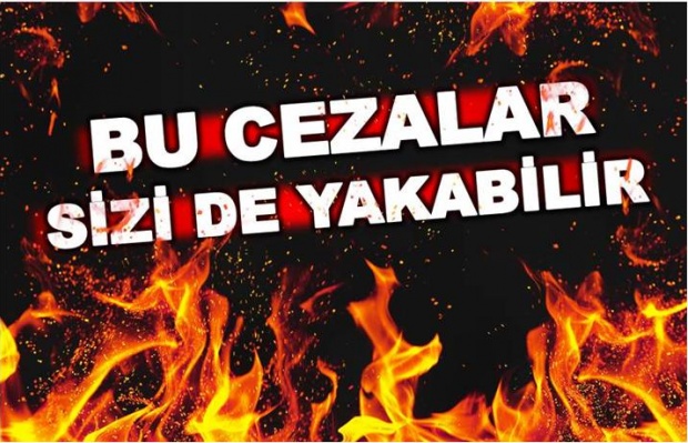 çevre, kirletme, ceza, 2017,