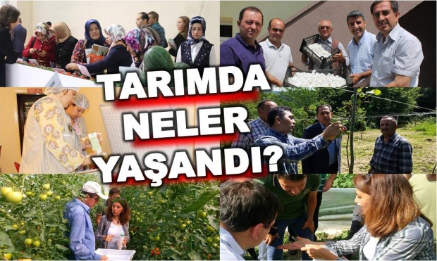 tarım, il müdürü abdulsetter bayram, tarım il müdürlüğü, il gıda ve hayvancılık il müdürlüğü,