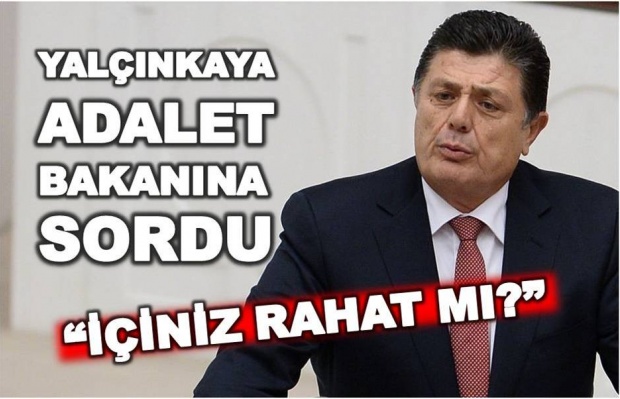 chp, rıza yalçınkaya,